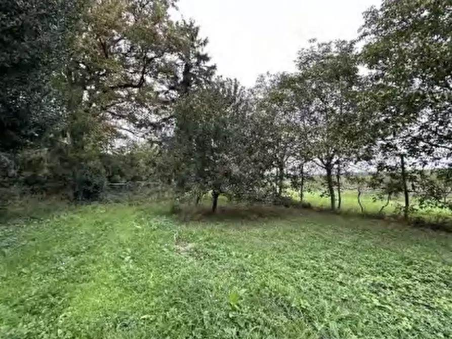 Immagine 11 di Rustico / casale in vendita  in Via Argine Secchia Sud a Quistello