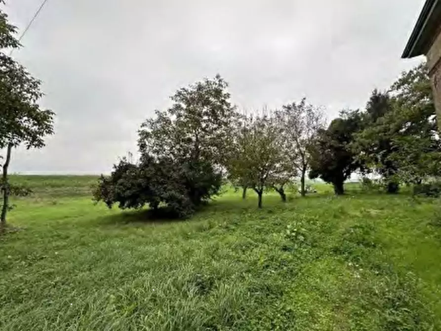 Immagine 12 di Rustico / casale in vendita  in Via Argine Secchia Sud a Quistello