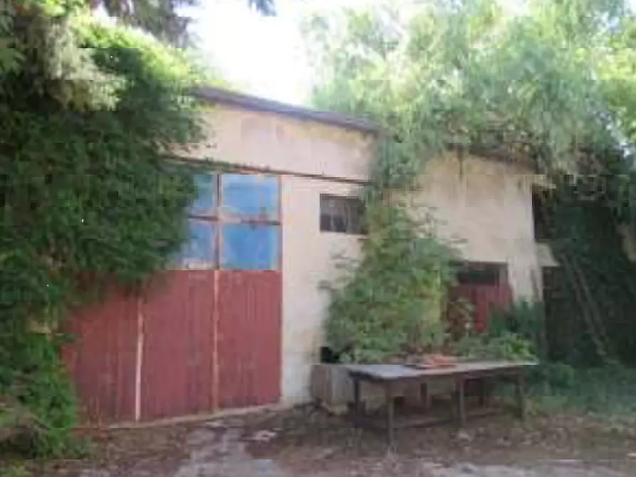 Immagine 3 di Villa in vendita  in Via Gabbianella a Quistello