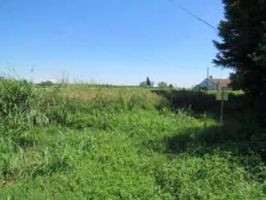 Immagine 5 di Villa in vendita  in Via Gabbianella a Quistello