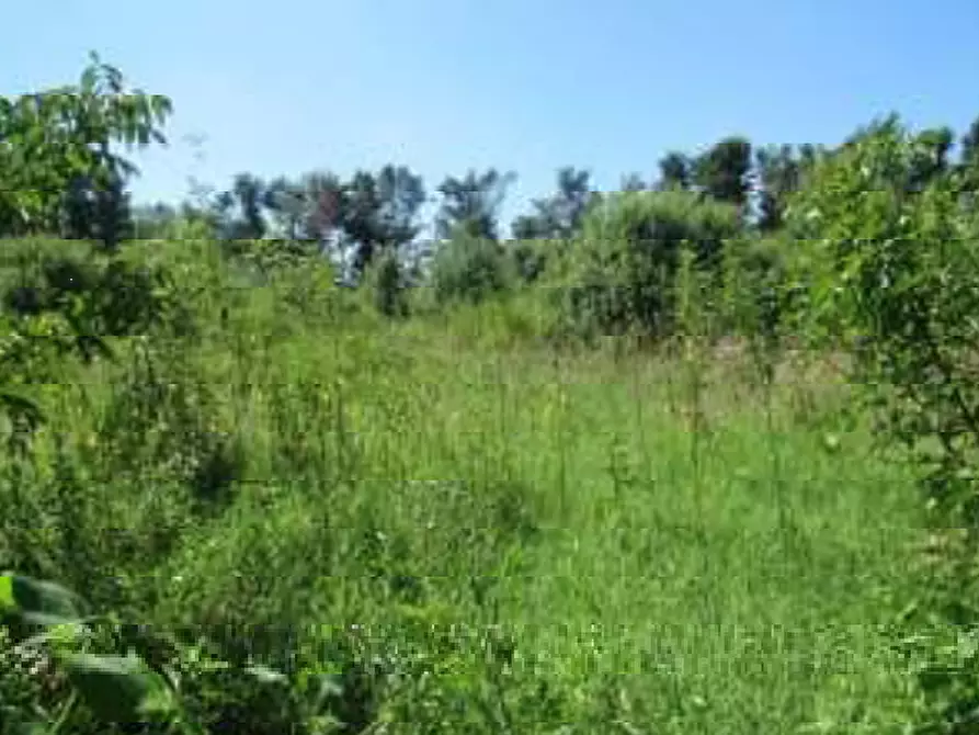 Immagine 8 di Villa in vendita  in Via Gabbianella a Quistello