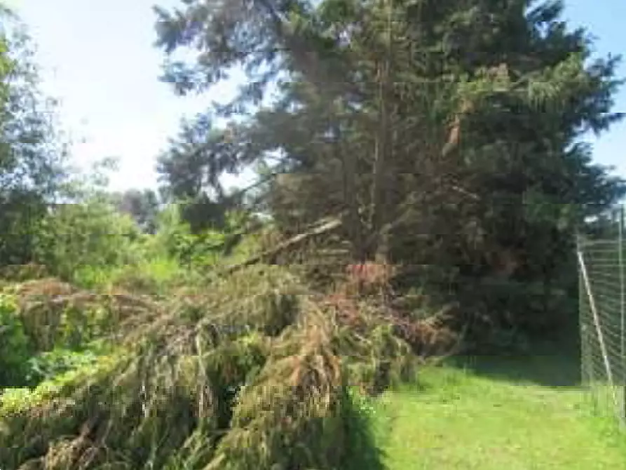 Immagine 11 di Villa in vendita  in Via Gabbianella a Quistello
