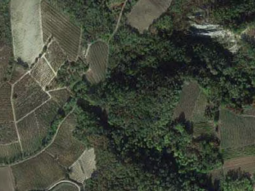 Immagine 1 di Terreno agricolo in vendita  in Comune di Borgoratto Mormorolo a Borgoratto Mormorolo