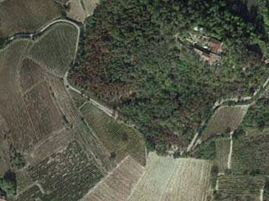 Immagine 3 di Terreno agricolo in vendita  in Comune di  Borgoratto Mormorolo a Borgoratto Mormorolo