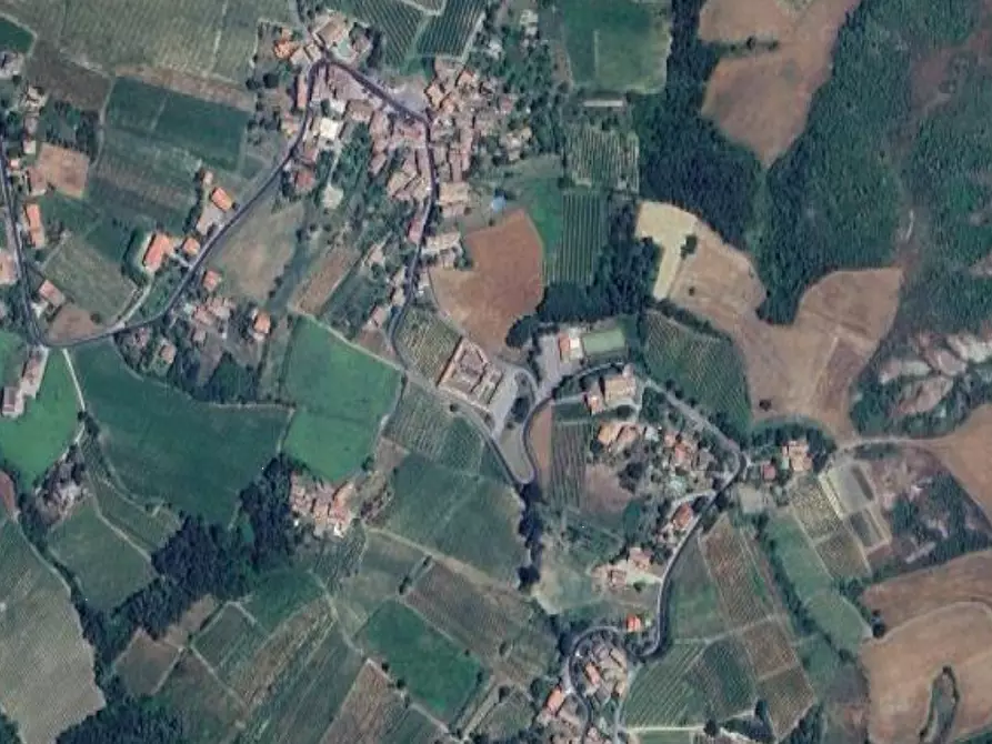 Immagine 6 di Terreno agricolo in vendita  in Comune di  Borgoratto Mormorolo a Borgoratto Mormorolo