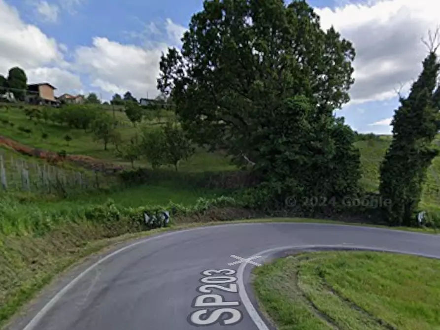 Immagine 9 di Terreno agricolo in vendita  in Comune di  Borgoratto Mormorolo a Borgoratto Mormorolo