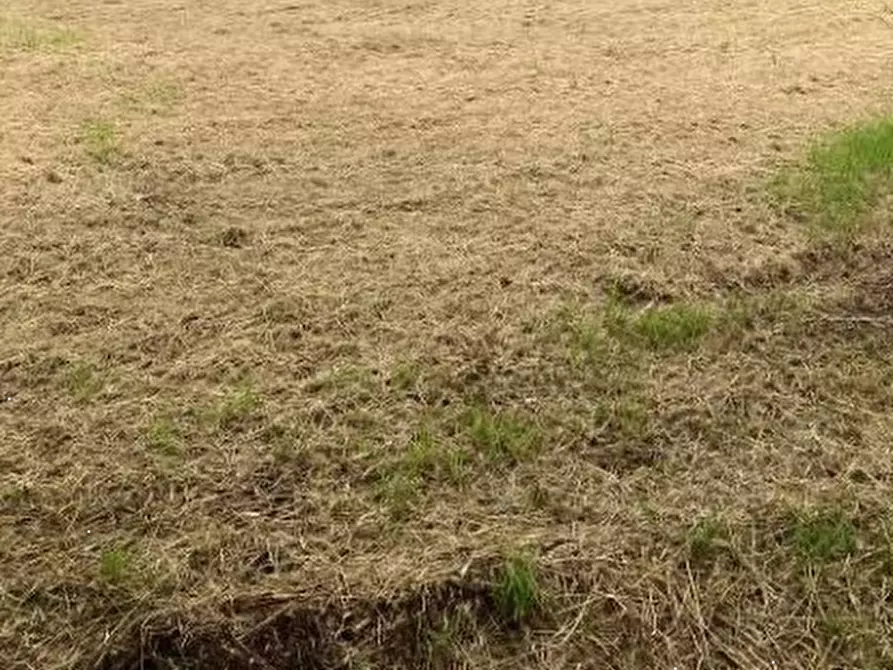 Immagine 16 di Terreno edificabile in vendita  in Via G. Ungaretti a Curtatone