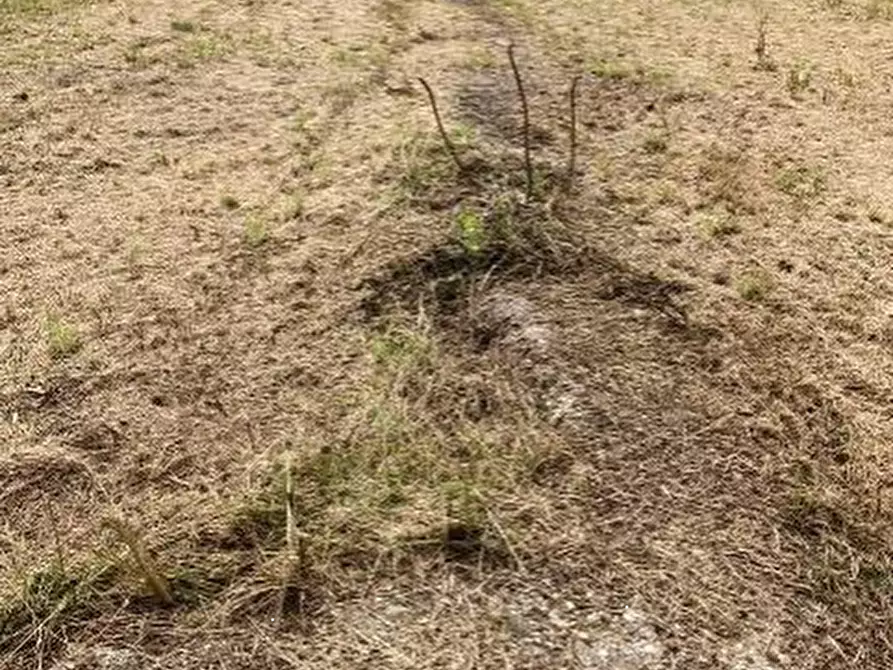Immagine 8 di Terreno edificabile in vendita  in Via G. Ungaretti a Curtatone