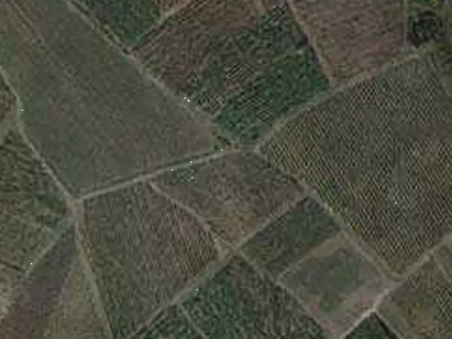 Immagine 2 di Terreno agricolo in vendita  in Comune di Borgoratto Mormolo  a Borgoratto Mormorolo