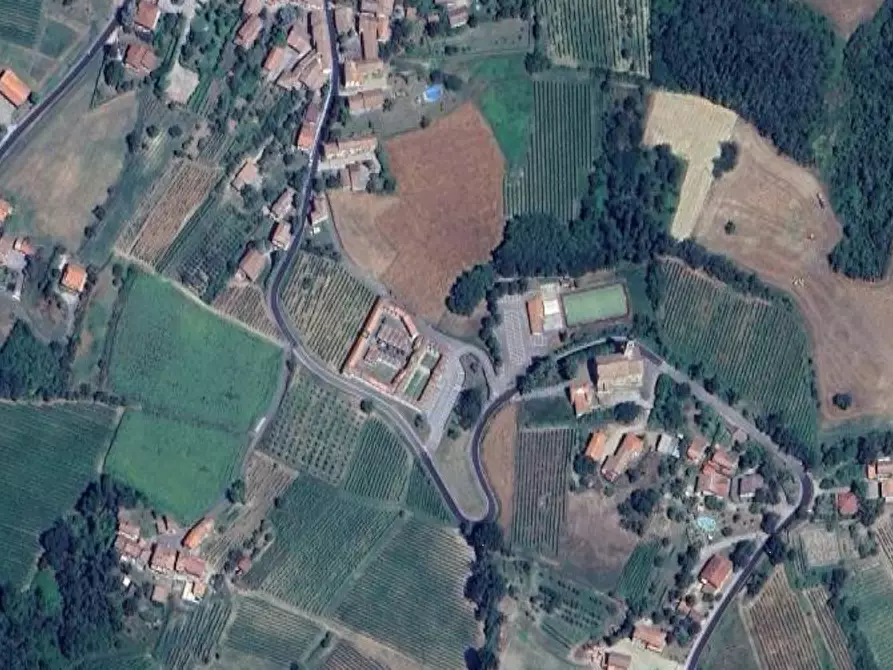 Immagine 4 di Terreno agricolo in vendita  in Comune di Borgoratto Mormolo  a Borgoratto Mormorolo