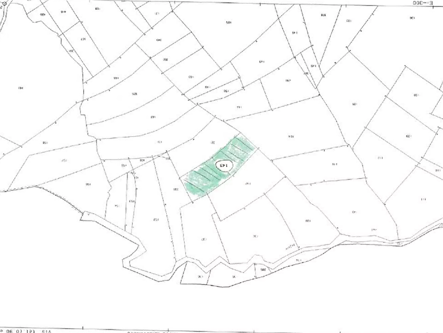 Immagine 7 di Terreno agricolo in vendita  in Comune di Borgoratto Mormolo  a Borgoratto Mormorolo