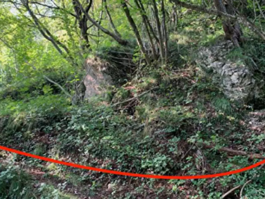 Immagine 5 di Terreno agricolo in vendita  in Via degli Scaligeri a Caltrano