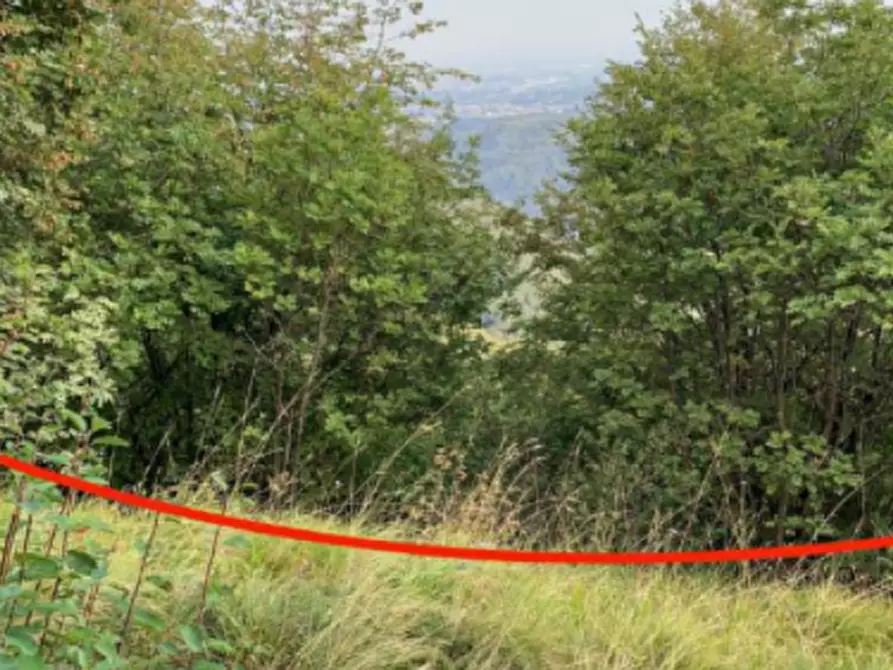 Immagine 6 di Terreno agricolo in vendita  in Via degli Scaligeri a Caltrano
