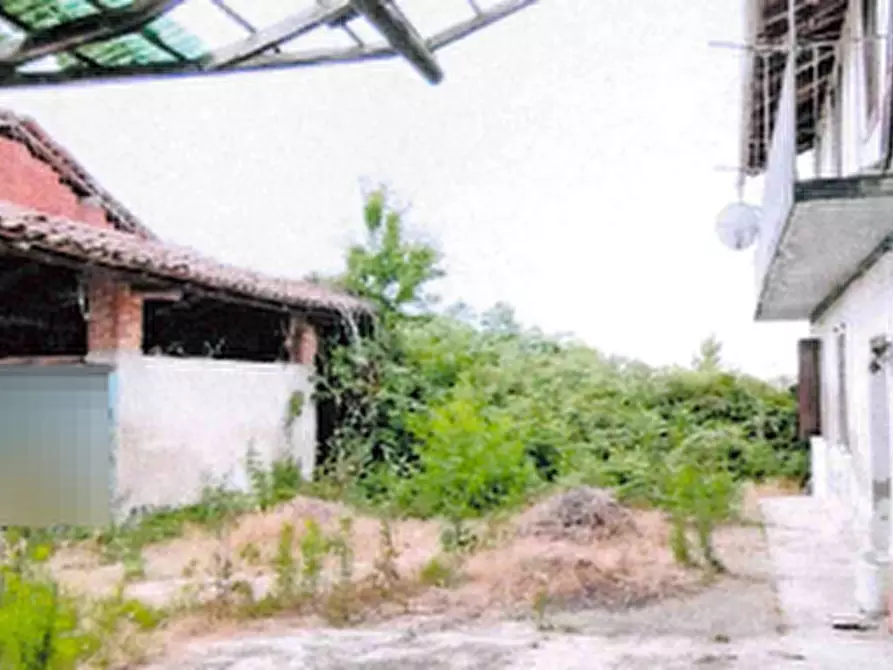 Immagine 4 di Casa indipendente in vendita  in Vicolo San Rocco  a Palestro