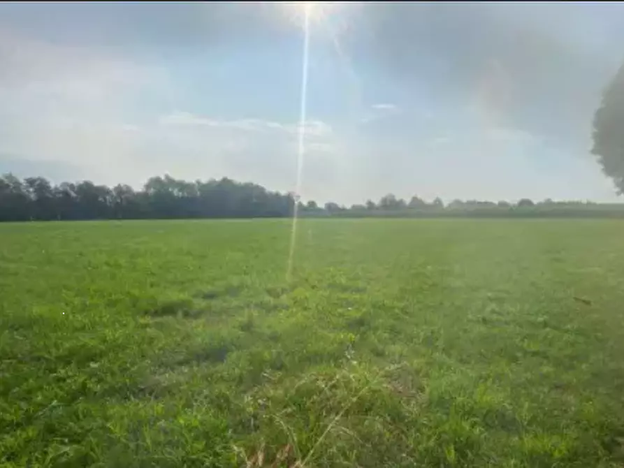 Immagine 1 di Terreno agricolo in vendita  in Via Basse a Tezze Sul Brenta