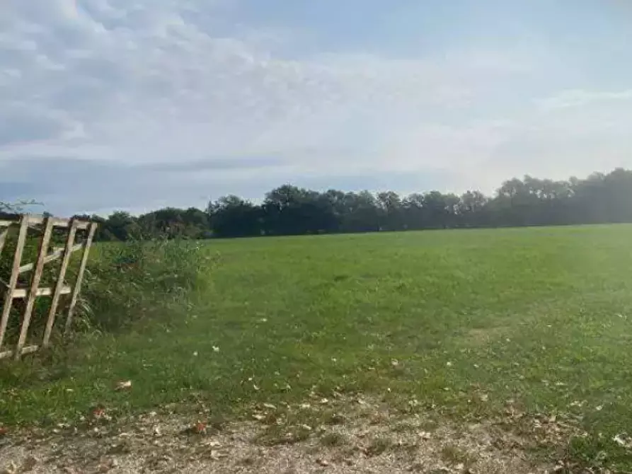 Immagine 2 di Terreno agricolo in vendita  in Via Basse a Tezze Sul Brenta