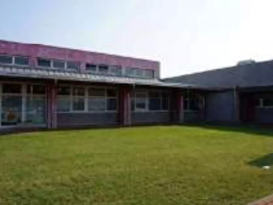 Immagine 8 di Negozio in vendita  in Via Francois Mitterrand  a Suzzara