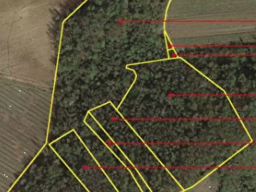 Immagine 1 di Terreno agricolo in vendita  in Località Santa Giuletta a Santa Giuletta