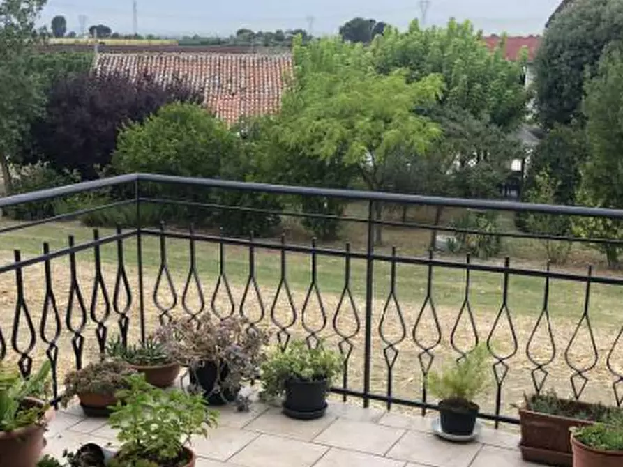 Immagine 5 di Stabile in vendita  in Via Taverna a Ravenna