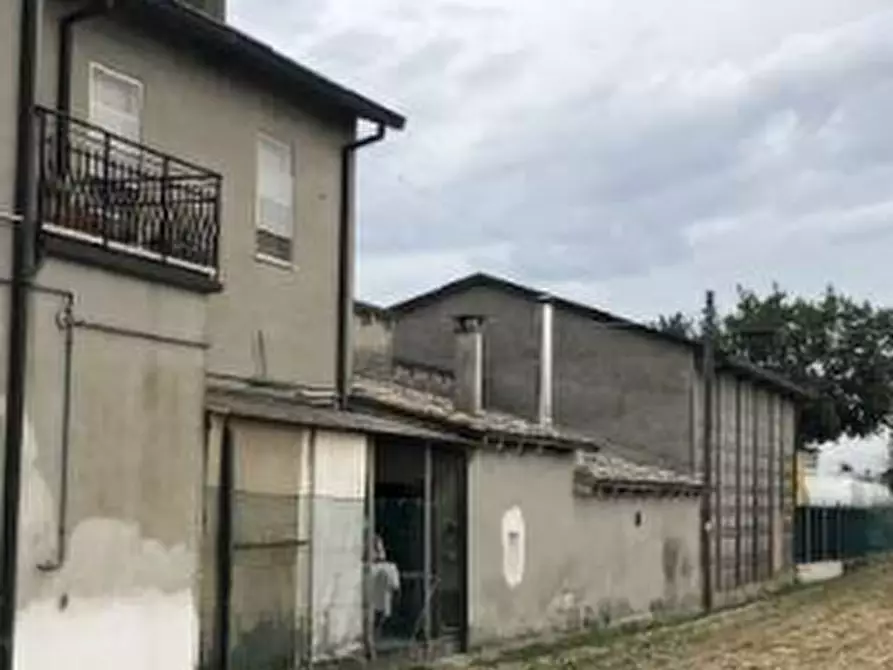 Immagine 10 di Stabile in vendita  in Via Taverna a Ravenna