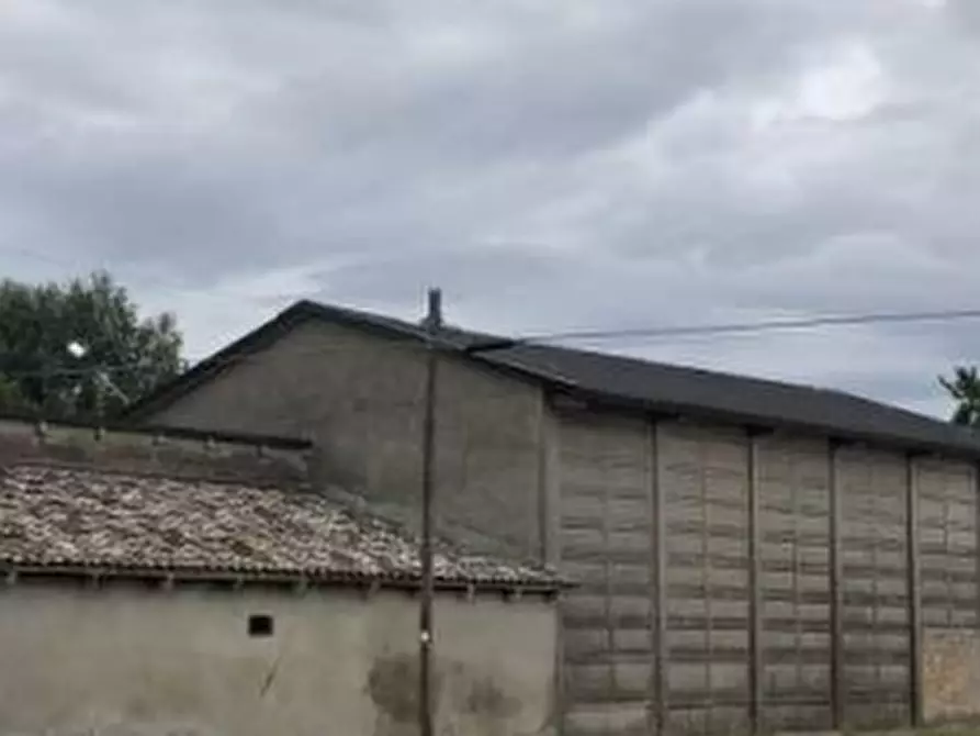 Immagine 16 di Stabile in vendita  in Via Taverna a Ravenna