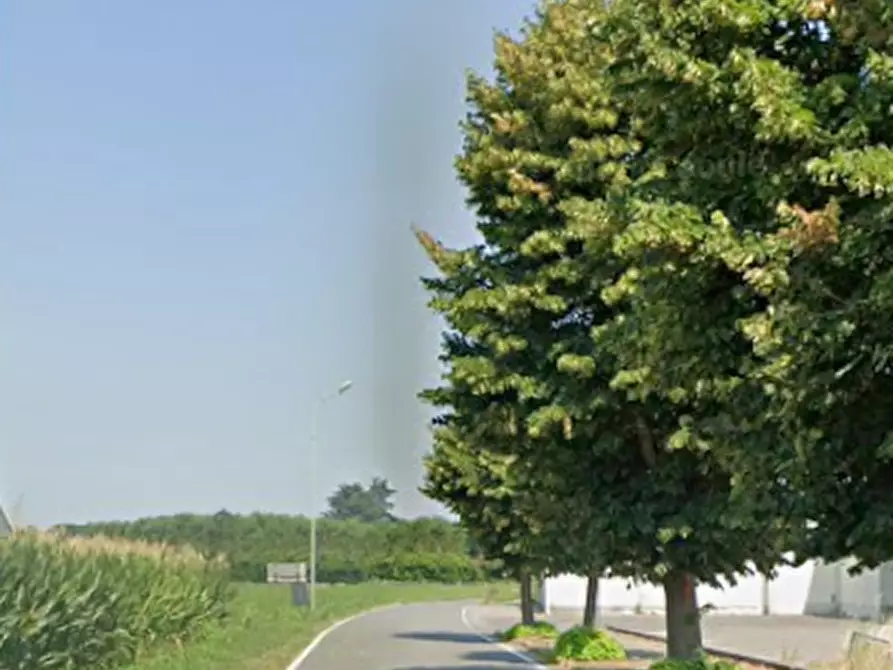 Immagine 2 di Terreno agricolo in vendita  in Via Matteotti Giacomo a Travacò Siccomario