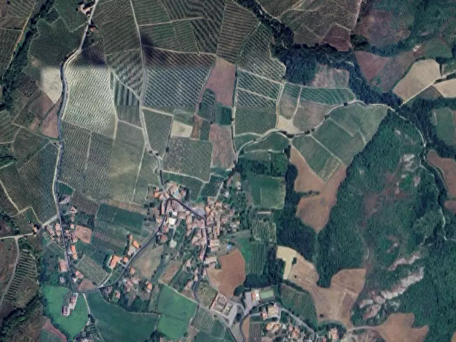 Immagine 10 di Terreno agricolo in vendita  in Via campagna a Borgoratto Mormorolo