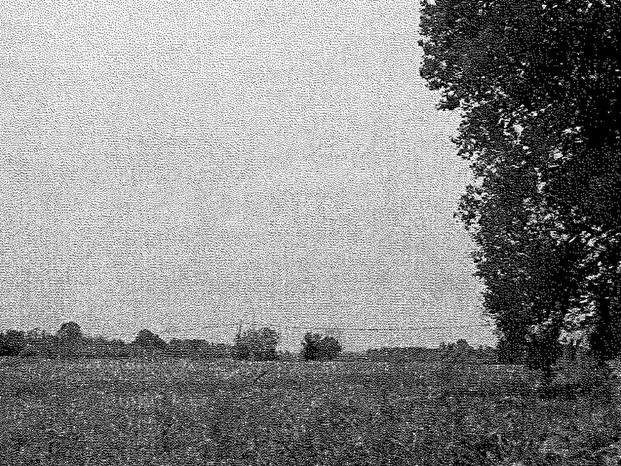 Immagine 1 di Terreno agricolo in vendita  in Via Matteotti Giacomo a Travacò Siccomario