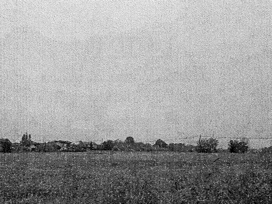 Immagine 1 di Terreno agricolo in vendita  in Via Matteotti Giacomo a Travacò Siccomario