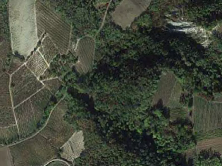 Immagine 1 di Terreno agricolo in vendita  in Via campagna a Borgoratto Mormorolo