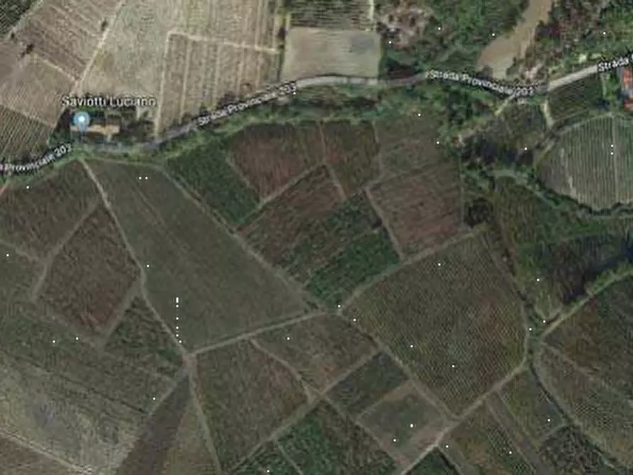 Immagine 4 di Terreno agricolo in vendita  in Via campagna a Borgoratto Mormorolo