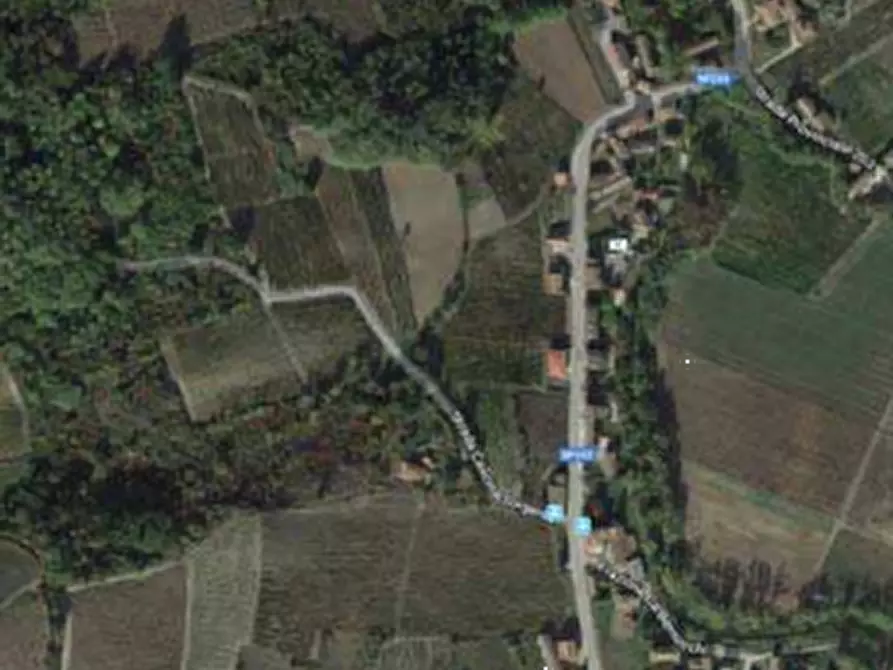 Immagine 2 di Terreno agricolo in vendita  in Via campagna a Borgoratto Mormorolo