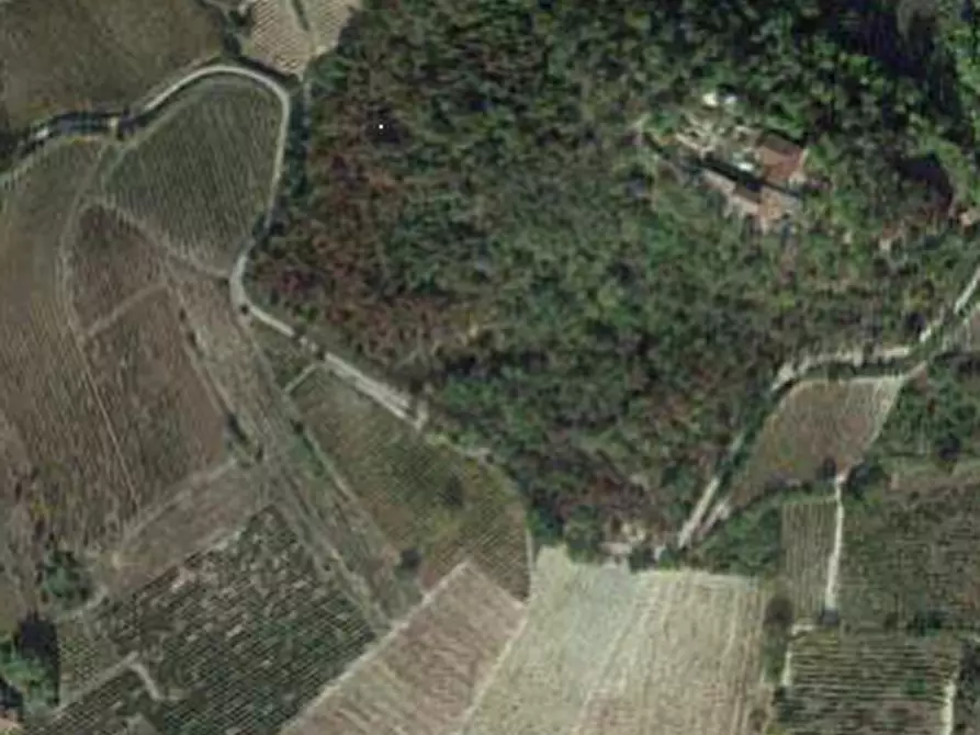 Immagine 3 di Terreno agricolo in vendita  in Via campagna a Borgoratto Mormorolo