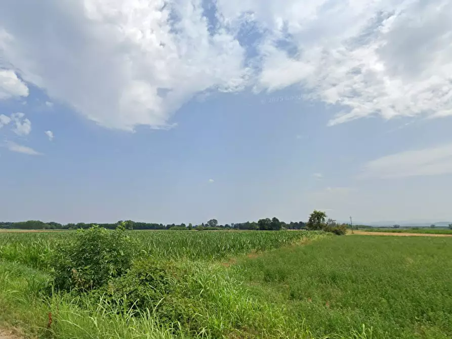 Immagine 1 di Terreno edificabile in vendita  in Frazione Cava Manara a Cava Manara
