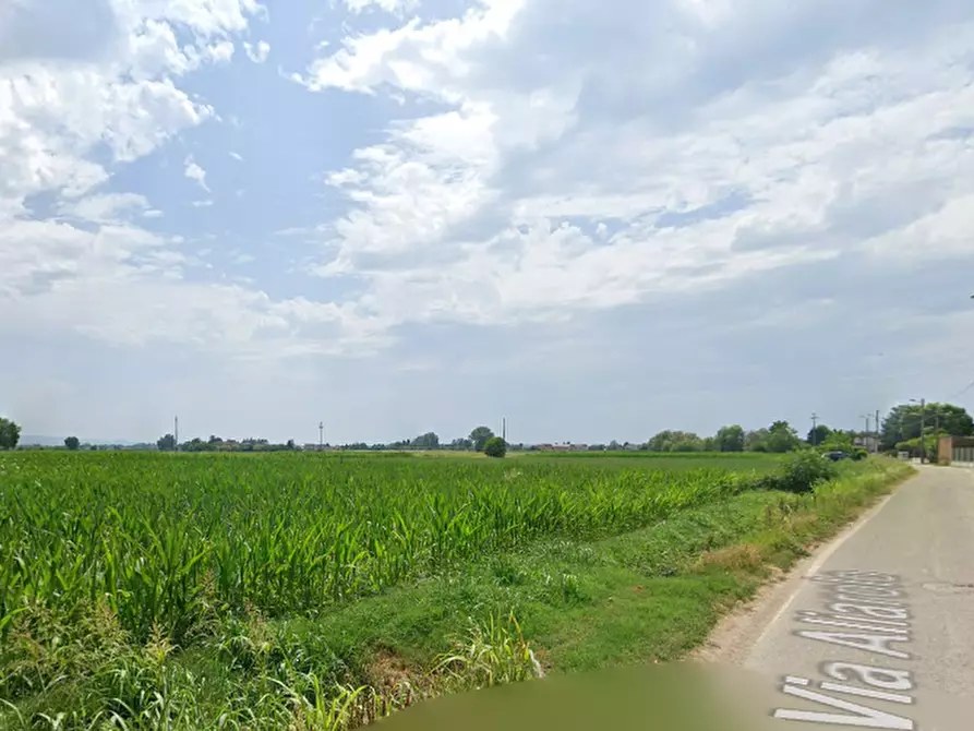 Immagine 6 di Terreno edificabile in vendita  in Frazione Cava Manara a Cava Manara