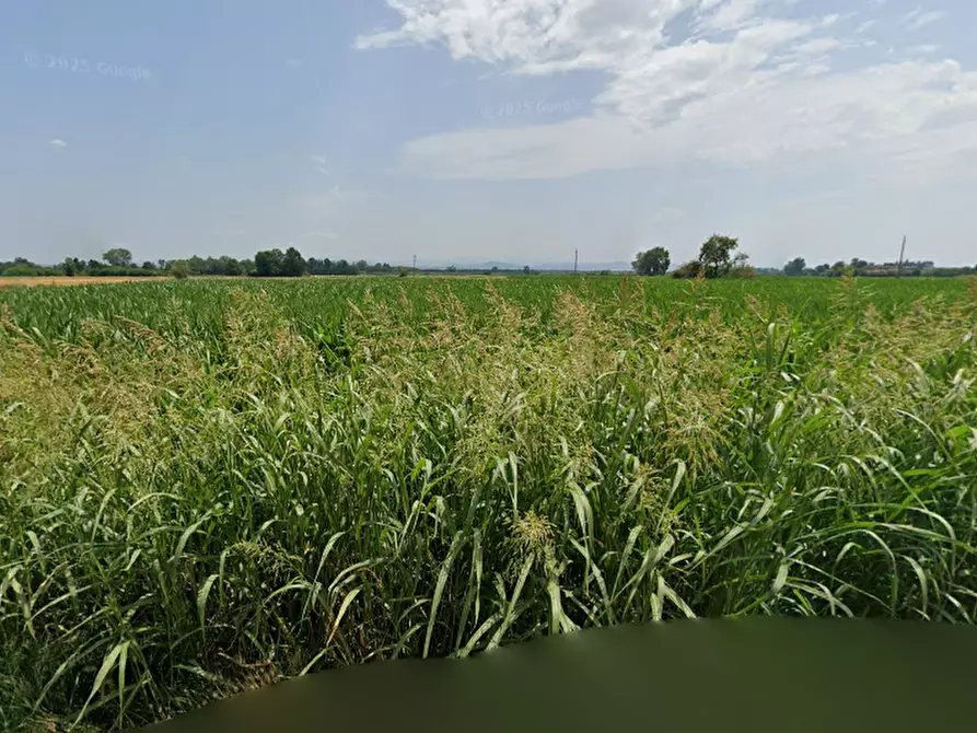 Immagine 3 di Terreno edificabile in vendita  in Frazione Cava Manara a Cava Manara