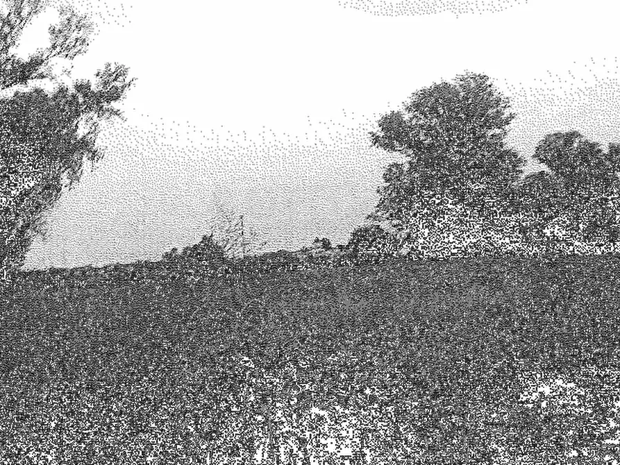 Immagine 1 di Terreno agricolo in vendita  in Comune di Travacò Siccomario  a Travacò Siccomario