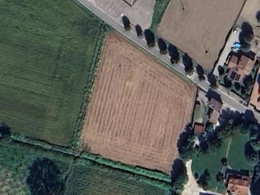 Immagine 7 di Terreno agricolo in vendita  in Comune di Travacò Siccomario  a Travacò Siccomario