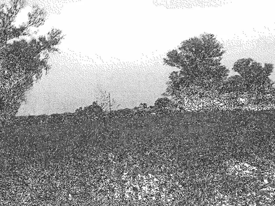Immagine 1 di Terreno agricolo in vendita  in Comune di Cava Manara  a Cava Manara