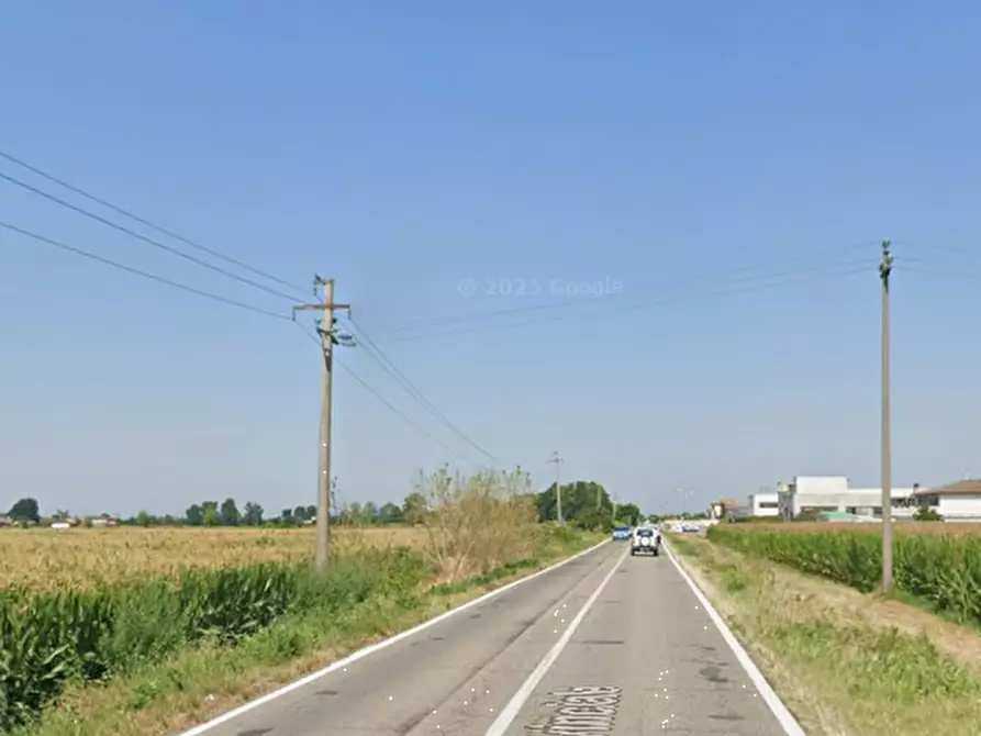 Immagine 9 di Terreno agricolo in vendita  in Comune di Cava Manara  a Cava Manara
