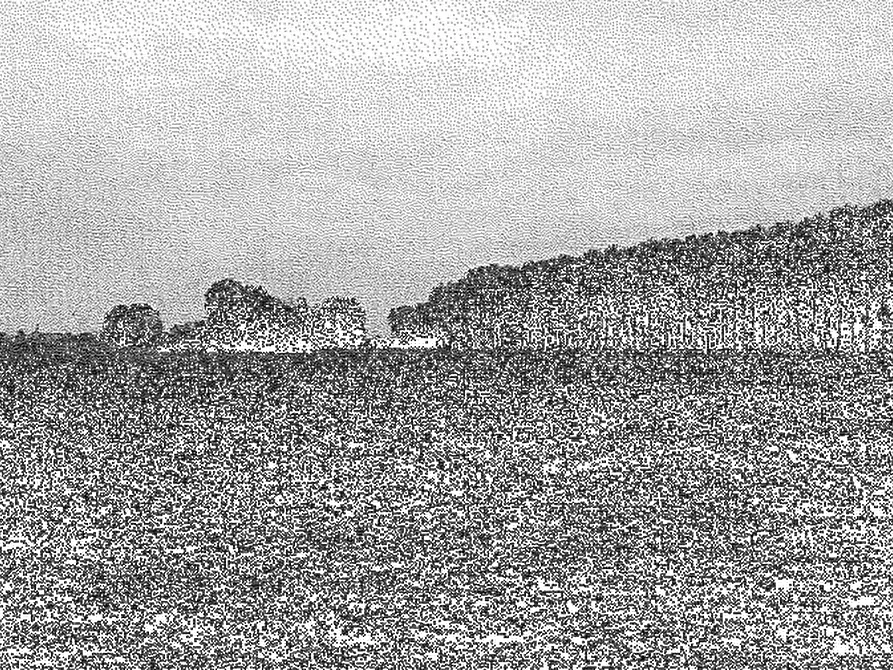 Immagine 1 di Terreno agricolo in vendita  in Comune di Cava Manara a Cava Manara