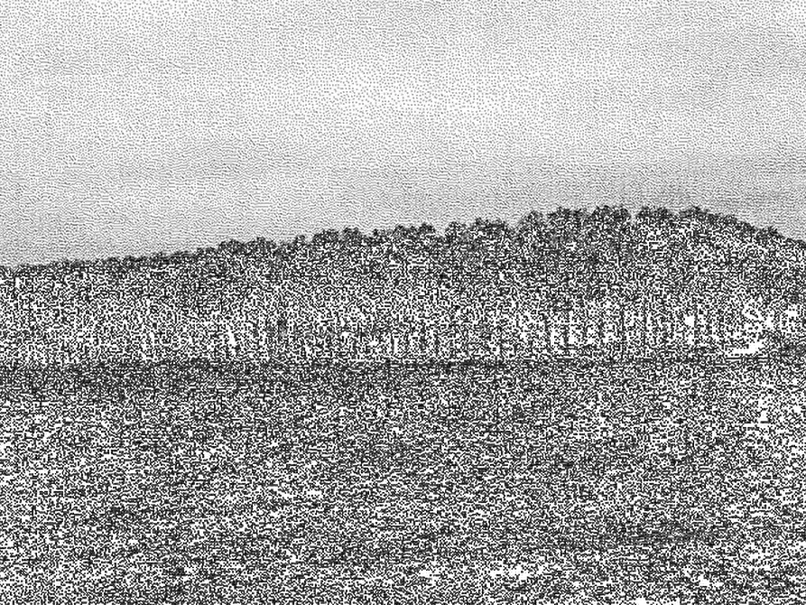 Immagine 2 di Terreno agricolo in vendita  in Comune di Cava Manara a Cava Manara