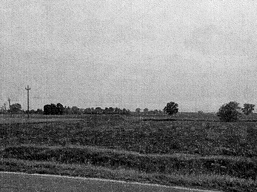 Immagine 1 di Terreno agricolo in vendita  in Comune di Cava Manara a Cava Manara