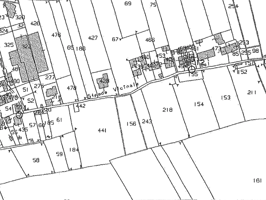 Immagine 2 di Terreno agricolo in vendita  in Comune di Cava Manara a Cava Manara
