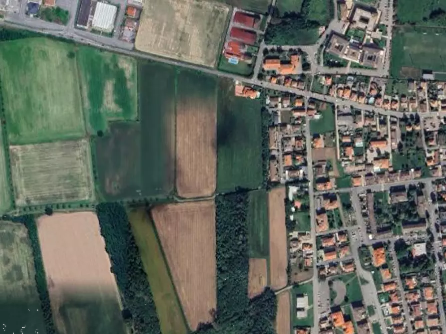 Immagine 5 di Terreno agricolo in vendita  in Comune di Cava Manara a Cava Manara