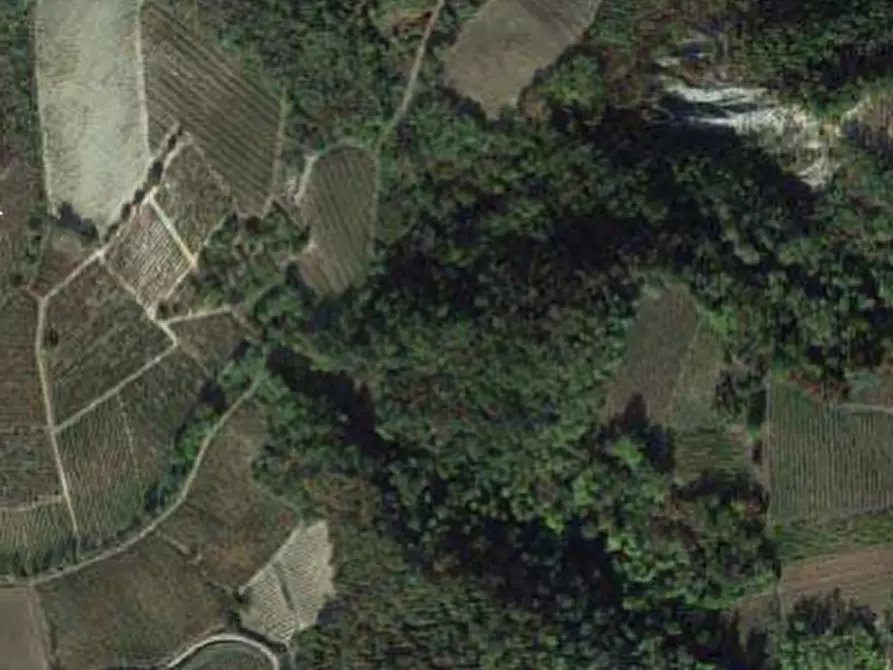 Immagine 1 di Terreno edificabile in vendita  in Via campagna a Borgoratto Mormorolo