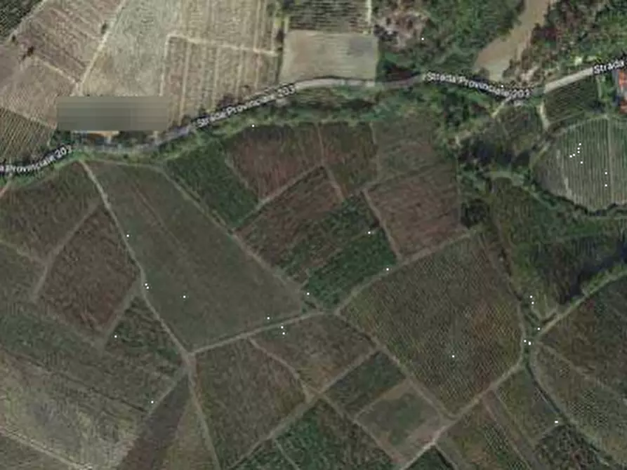 Immagine 4 di Terreno edificabile in vendita  in Via campagna a Borgoratto Mormorolo