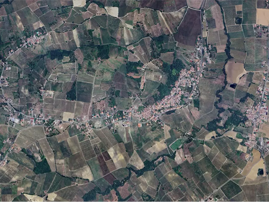 Immagine 20 di Azienda agricola in vendita  in Viale dei Mille a Ziano Piacentino