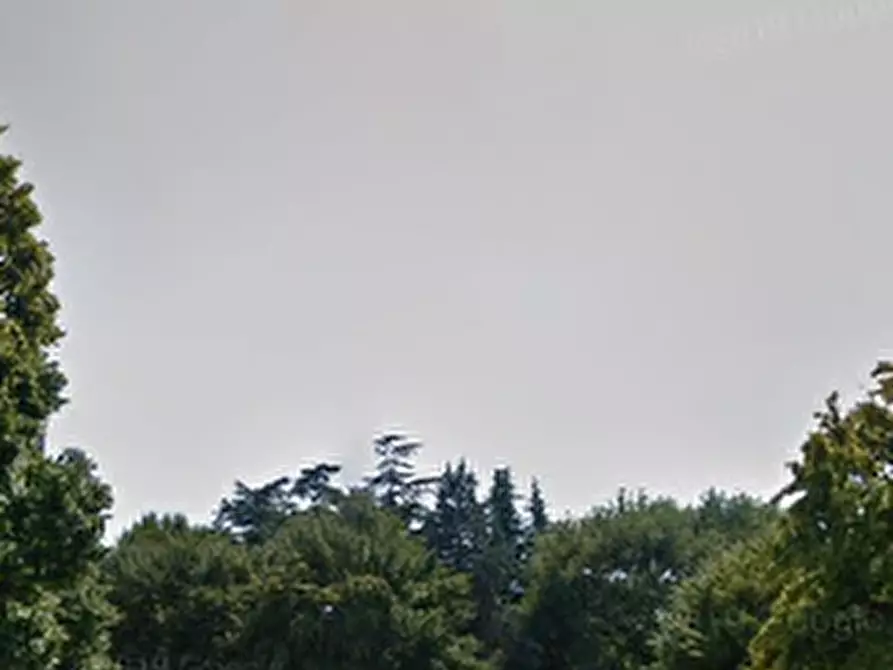 Immagine 8 di Appartamento in vendita  in Viale Viareggio a Spinea