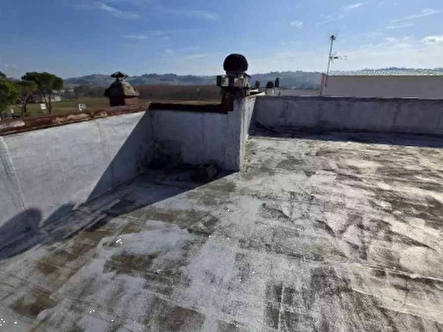 Immagine 13 di Appartamento in vendita  in Viale Cante di Montevecchio a Monte Porzio